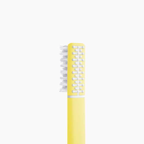 Soft bristle toothbrush with echinacea extract